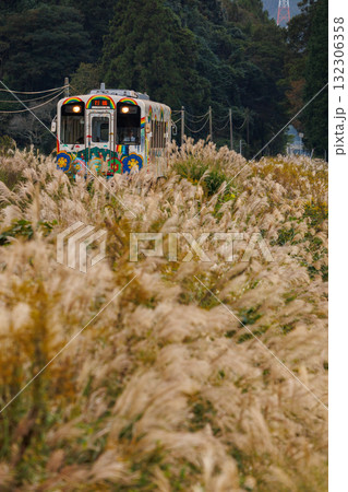ススキの景色を行く平成筑豊鉄道400型「スーパーハッピー号」 ススキの景色を行く平成筑豊鉄道400型「スーパーハッピー号」 132306358