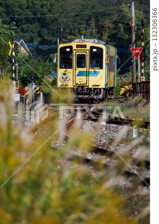 ススキの駅に到着する平成筑豊鉄道400型「菜の花号」 132306366