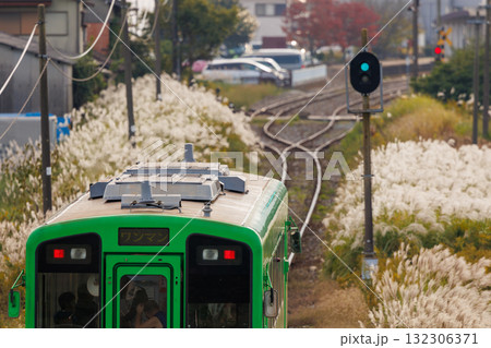 線路際のススキ野原を通る列車 132306371