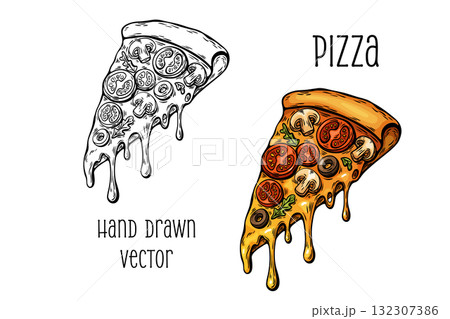Pizza slice in color and black line art hand drawn vector 132307386
