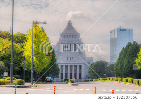 国会議事堂【東京都千代田区永田町】 国会議事堂【東京都千代田区永田町】 132307556