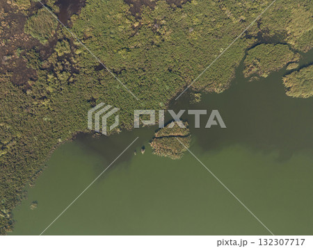 Green swamp water above top view 132307717