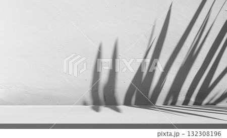 Minimal white background with tropical leaf shadow, natural sunlight and modern aesthetic design concept Minimal white background with tropical leaf shadow, natural sunlight and modern aesthetic design concept 132308196