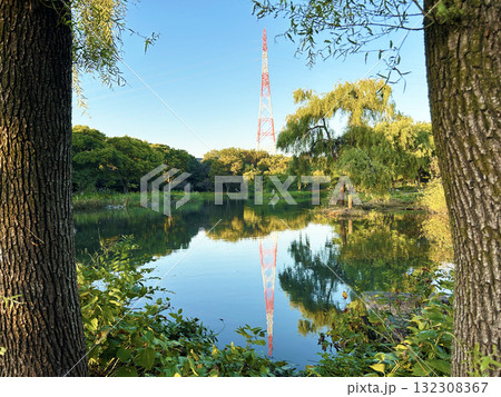池に映る鉄塔 132308367