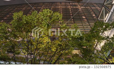 ビルの谷間にそびえる樹木 132308975