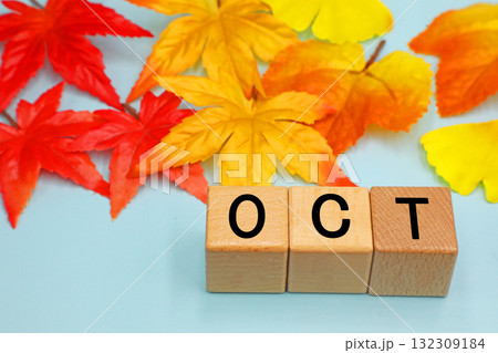 10月のイメージ 10月のイメージ 132309184