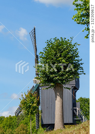 the old village of Bourtange 132309617