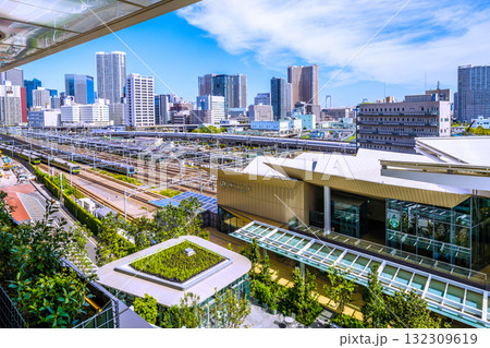 日本の東京都市景観新幹線や山手線(内外)、芝浦アイランドケープタワーなどタワーマンション群を望む 日本の東京都市景観新幹線や山手線(内外)、芝浦アイランドケープタワーなどタワーマンション群を望む 132309619