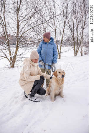 Elderly woman and her adult daughter spending time outdoors with their Golden Retriever on a snowy winter day. The daughter kneels to pet the calm dog while the mother holds the leash in a peaceful 132309739