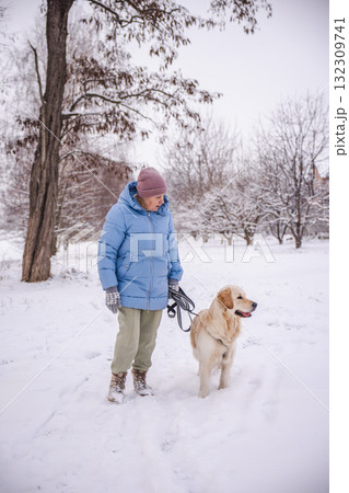 Elderly woman in a blue winter coat standing with her Golden Retriever on a snowy path. The woman holds the leash and looks at her dog while they enjoy the quiet beauty of the winter countryside. 132309741