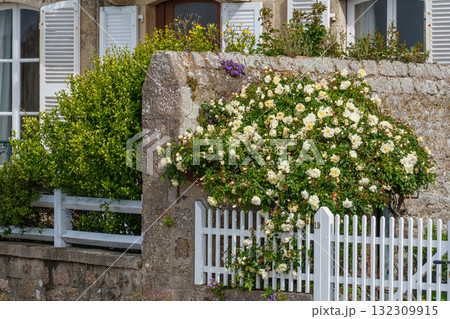 Barfleur and the coast of the french normandy 132309915
