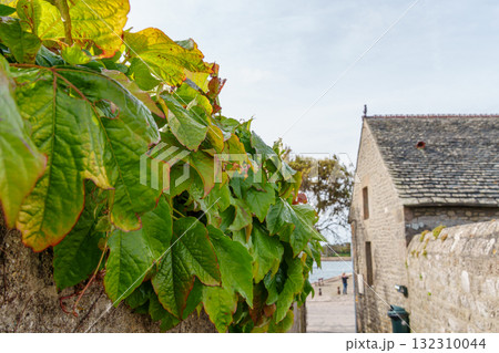 Barfleur and the coast of the french normandy Barfleur and the coast of the french normandy 132310044
