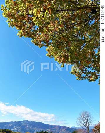 青い空と紅葉 青い空と紅葉 132310149