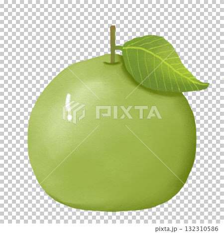 guava, fruit, vector 132310586