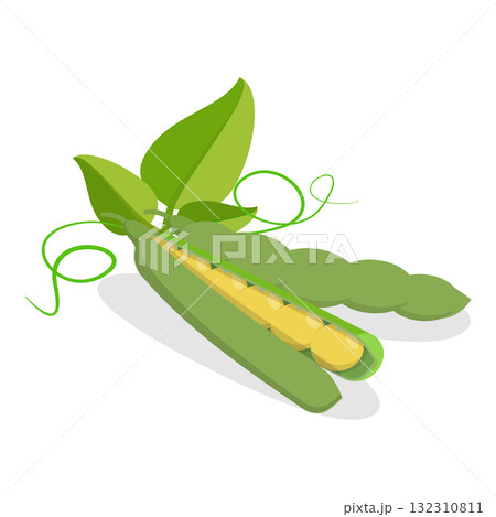 3D Isometric Flat Set of Protein Food. Item 1 3D Isometric Flat Set of Protein Food. Item 1 132310811