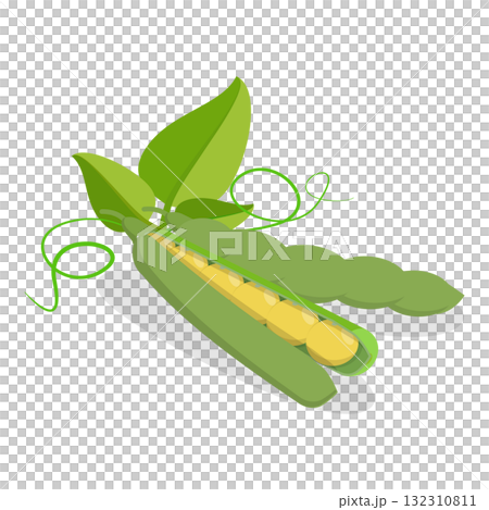 3D Isometric Flat Set of Protein Food. Item 1 3D Isometric Flat Set of Protein Food. Item 1 132310811