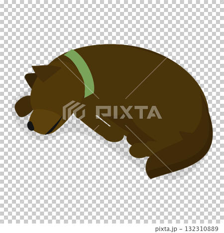 3D Isometric Flat  Illustration of Sleeping Pets. Item 4 3D Isometric Flat  Illustration of Sleeping Pets. Item 4 132310889
