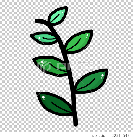 Vibrant hand drawn illustration of plant branch with green leaf foliage. This simple cartoon sprig represents fresh growth, nature, and organic life on transparency background 132311548