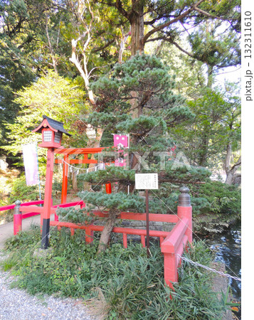 間々田八幡宮 頼朝手植えの松 間々田八幡宮 頼朝手植えの松 132311610