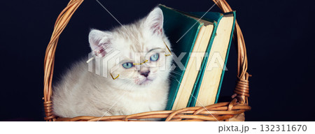 Cute white kitten wearing glasses, sitting in a basket with books. Horizontal banner 132311670
