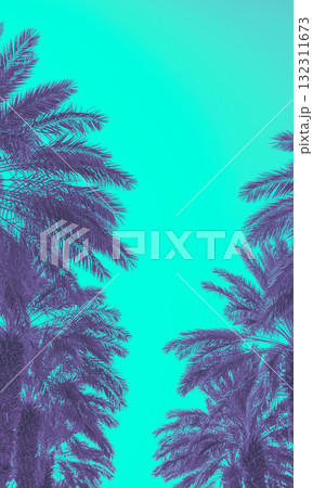 Palm trees against the blue sky. Silhouette of tall palm trees. Tropical evening landscape. Beautiful tropic nature. Vertical banner 132311673