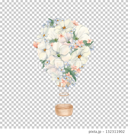 Balloon of white cosmos flowers and basket isolated white. Hot air balloon and blossoms in blush pink for baby. Hand drawn watercolor illustration for nursery wall design and children's stationery. 132311902