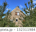 brick house with window blinds behind trees 132311984