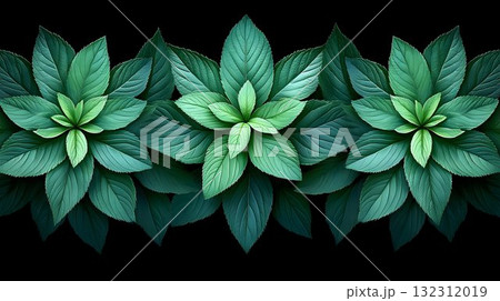 Symmetrical arrangement of three vibrant green leaf clusters aga 132312019