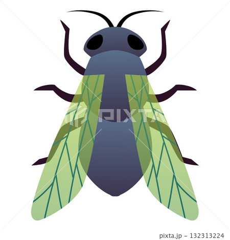 Fly flat icon, cartoon gray insect with wings, entomology, pest bug fauna vector illustration isolated Fly flat icon, cartoon gray insect with wings, entomology, pest bug fauna vector illustration isolated 132313224