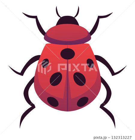 Red ladybug, top view, with spots, antennae, and legs, insect. 132313227