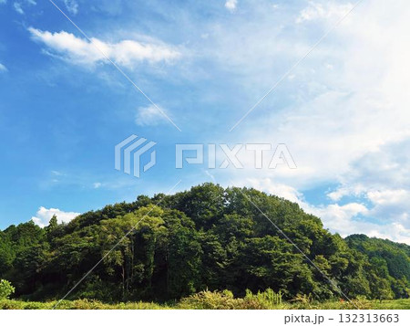 森林の木々と穏やかな空模様 森林の木々と穏やかな空模様 132313663