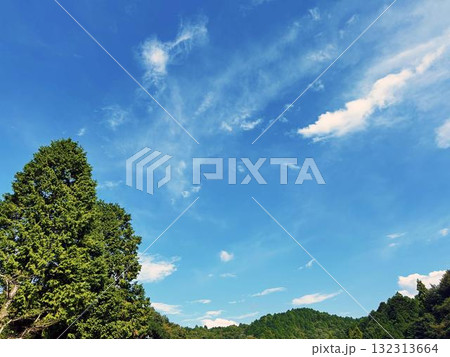 木々と青空と白い雲 木々と青空と白い雲 132313664