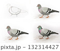 Drawing pigeon step by step instruction. Painting bird art tutorial guide. Sketch education hobby illustration design. Watercolor style white background 132314427