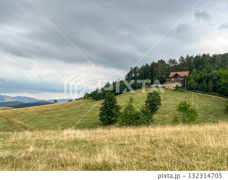 Rural landscape with grassy field, lonely house, pine trees and cloudy sky in the background. 132314705