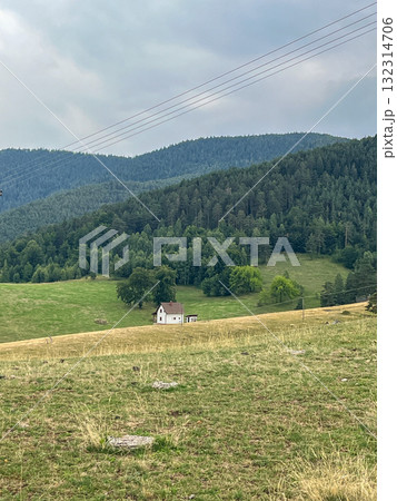Rural landscape with grassy field, lonely house, pine trees and cloudy sky in the background. Rural landscape with grassy field, lonely house, pine trees and cloudy sky in the background. 132314706
