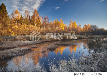 Autumn landscape. Birch forest with golden foliage on the river bank and against the blue sky in the morning 132314879