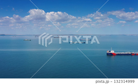 Many cargo ships waiting for port entrance 132314999