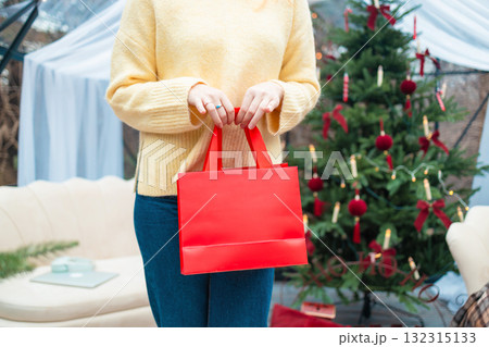 Close-up of woman holding red shopping bag near Christmas tree Close-up of woman holding red shopping bag near Christmas tree 132315133