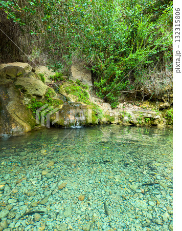 Crystal-clear water flowing over smooth stones in a tranquil forest oasis during a bright sunny afternoon 132315806