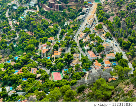 Scenic view of a vibrant hillside village surrounded by lush trees and winding roads on a sunny day in nature's embrace 132315830