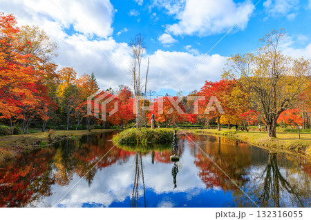 北海道の紅葉 北海道の紅葉 132316055