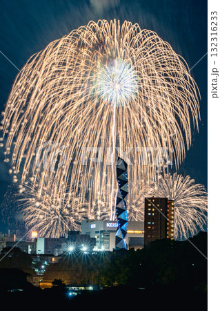水戸偕楽園花火大会の夜空を彩る大輪の花（黃） 132316233