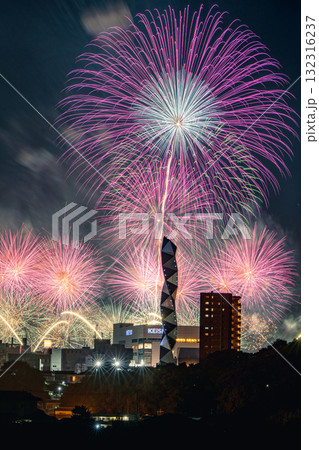 水戸偕楽園花火大会の夜空を彩る大輪の花 132316237
