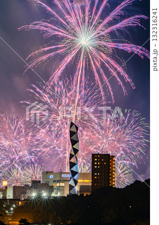 水戸偕楽園花火大会の夜空を彩る大輪の花（紫） 132316241