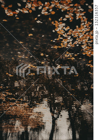Autumn leaves floating on dark water surface with bare tree reflection. Serene moody nature scene capturing fall season atmosphere. Abstract landscape reflecting in a pond. Seasonal Concepts backdrop. Autumn leaves floating on dark water surface with bare tree reflection. Serene moody nature scene capturing fall season atmosphere. Abstract landscape reflecting in a pond. Seasonal Concepts backdrop. 132316357