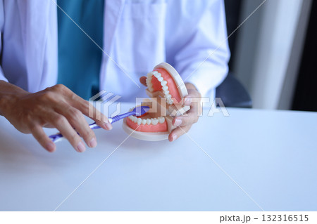 Dentist demonstrates how toDentist demonstrates how to brush teeth correctly. brush teeth correctly.  132316515