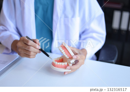 Dentist uses a dental model to explain oral health and treatments to a patient. Dentist uses a dental model to explain oral health and treatments to a patient. 132316517