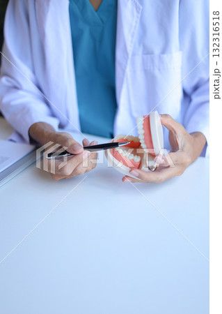 Dentist uses a dental model to explain oral health and treatments to a patient. 132316518