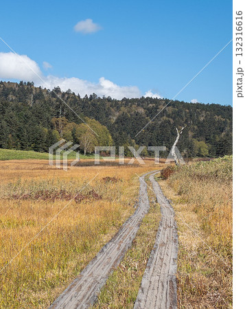 【群馬】草紅葉の尾瀬ヶ原 【群馬】草紅葉の尾瀬ヶ原 132316616