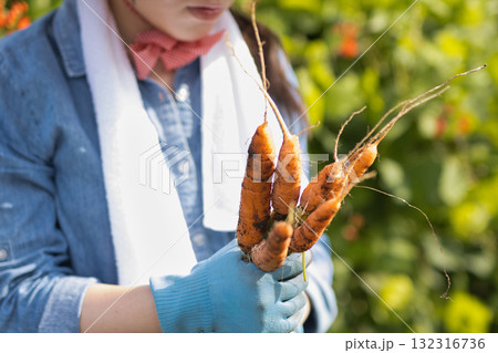 野菜の収穫をする女性 野菜の収穫をする女性 132316736